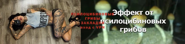 метадон Арсеньев